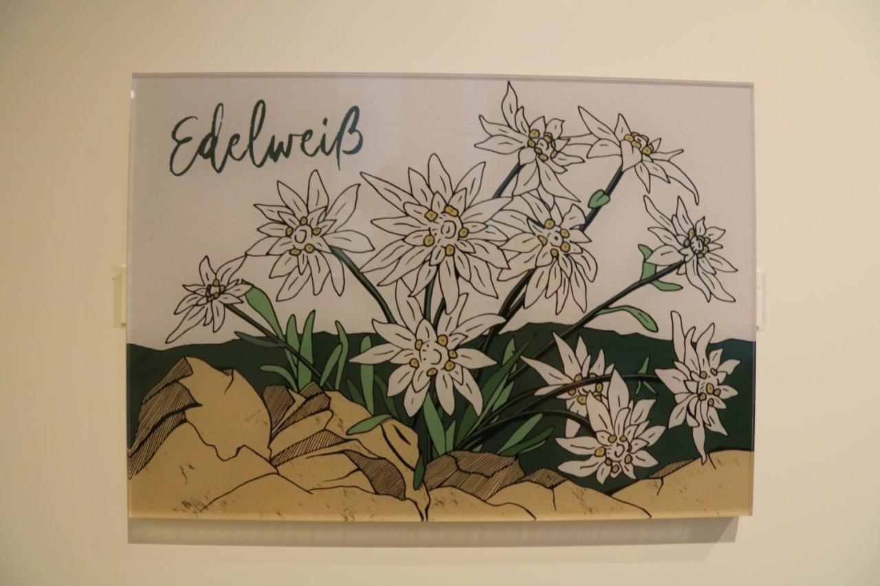 Ferienwohnungen Im Gasthof Stern Inklusive Koenigscard Unterammergau Exteriör bild
